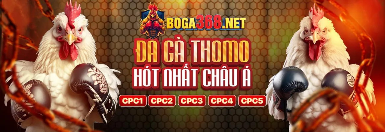 Đá Gà Trực Tuyến Hấp Dẫn tại 55LAT Link Mới
